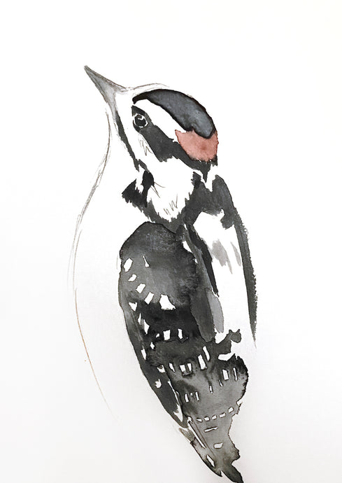5” x 7” original watercolor wildlife nature woodpecker painting in an ethereal, expressive, impressionist, minimalist, modern style by contemporary fine artist Elizabeth Becker