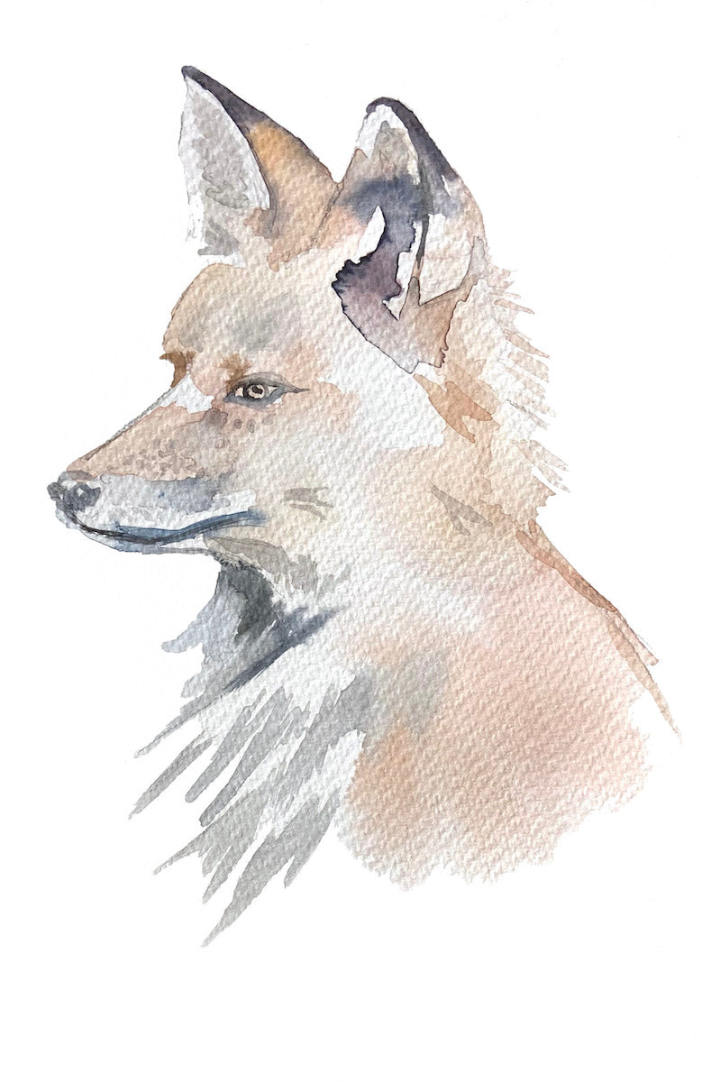 6” x 9” original watercolor red fox painting in an ethereal, expressive, impressionist, minimalist, modern style by contemporary fine artist Elizabeth Becker