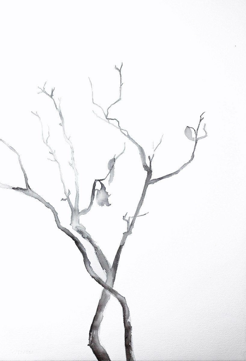 15” x 22” original ink botanical nature plant painting of black and white branches in an expressive, impressionist, minimalist, modern style by contemporary fine artist Elizabeth Becker.
