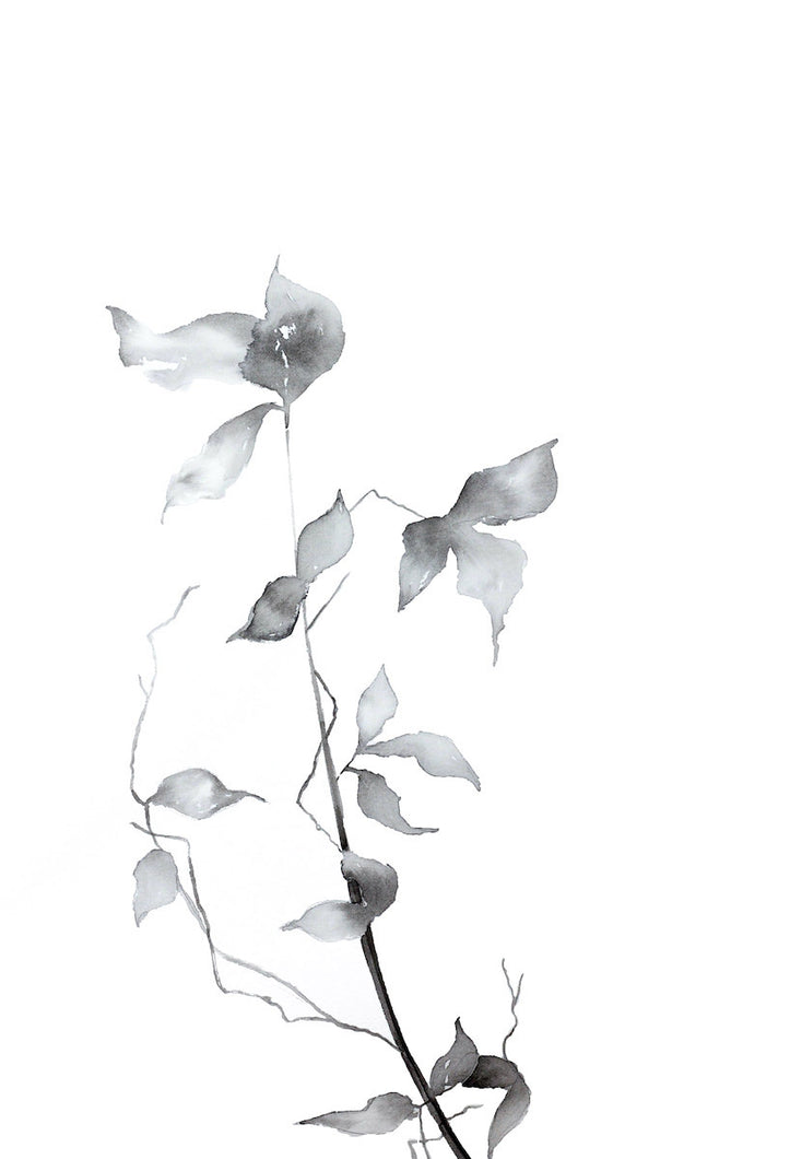 15” x 22” original ink botanical nature painting of black and white bare branches and leaves in an expressive, impressionist, minimalist, modern style by contemporary fine artist Elizabeth Becker