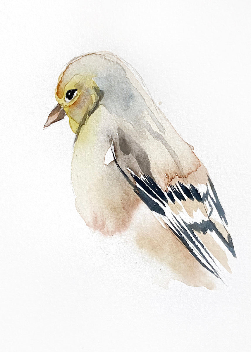 5” x 7” original watercolor goldfinch painting in an ethereal, expressive, impressionist, minimalist, modern style by contemporary fine artist Elizabeth Becker