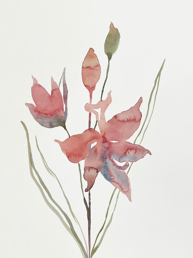 9” x 12” original watercolor botanical magnolia floral painting in an expressive, impressionist, minimalist, modern style by contemporary fine artist Elizabeth Becker 