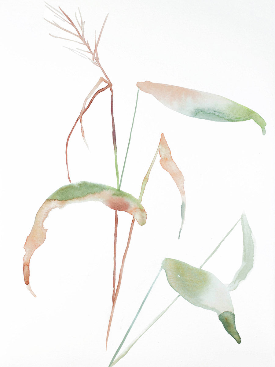 9” x 12” original watercolor botanical grass painting in an expressive, impressionist, minimalist, modern style by contemporary fine artist Elizabeth Becker. Soft pale green, peach and white colors.