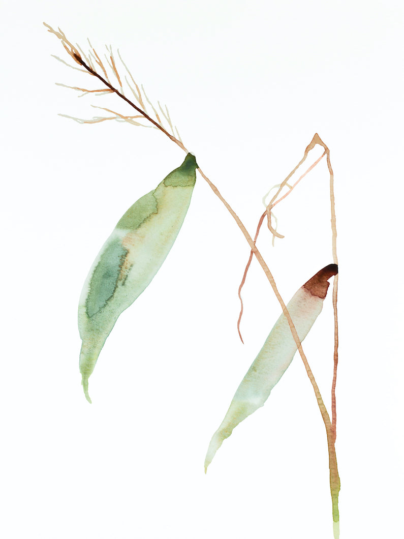 9” x 12” original watercolor botanical grass painting in an expressive, impressionist, minimalist, modern style by contemporary fine artist Elizabeth Becker