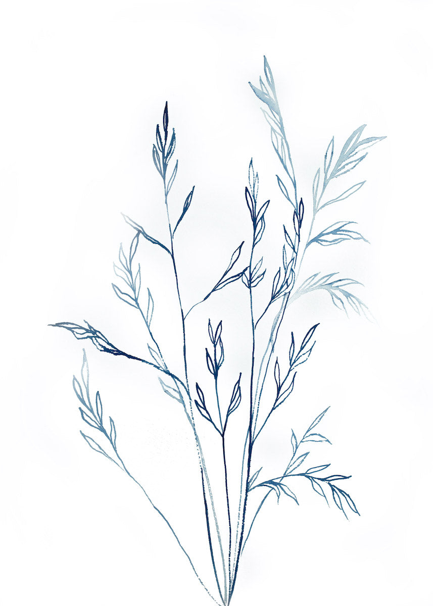 10” x 14” original watercolor botanical grass painting in an expressive, impressionist, minimalist, modern style by contemporary fine artist Elizabeth Becker. Soft monochromatic blue and white colors.