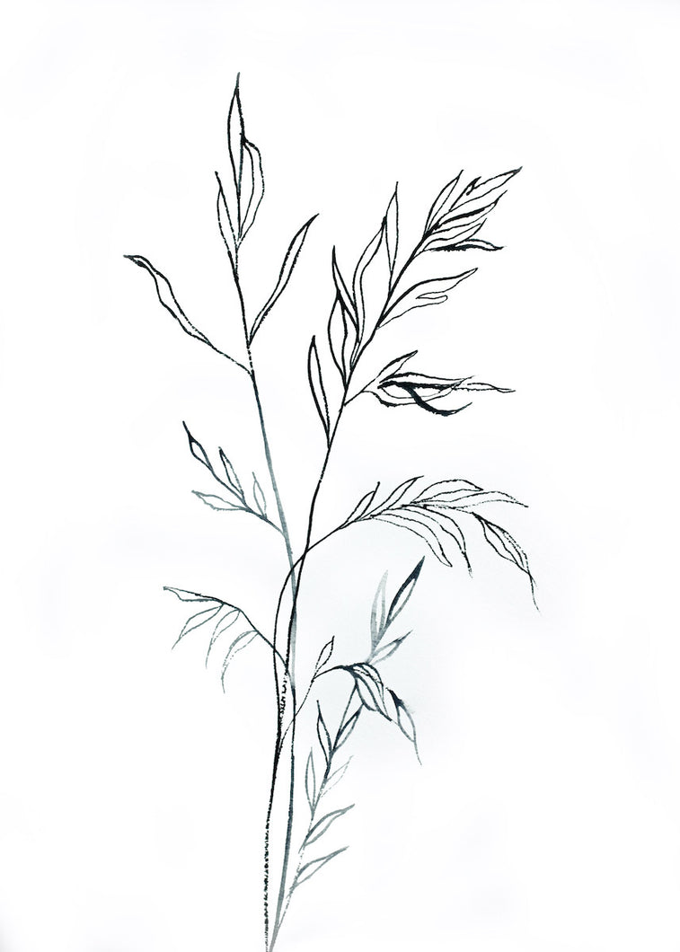 10” x 14” original watercolor botanical grass painting in an expressive, impressionist, minimalist, modern style by contemporary fine artist Elizabeth Becker. Soft monochromatic black and white colors.