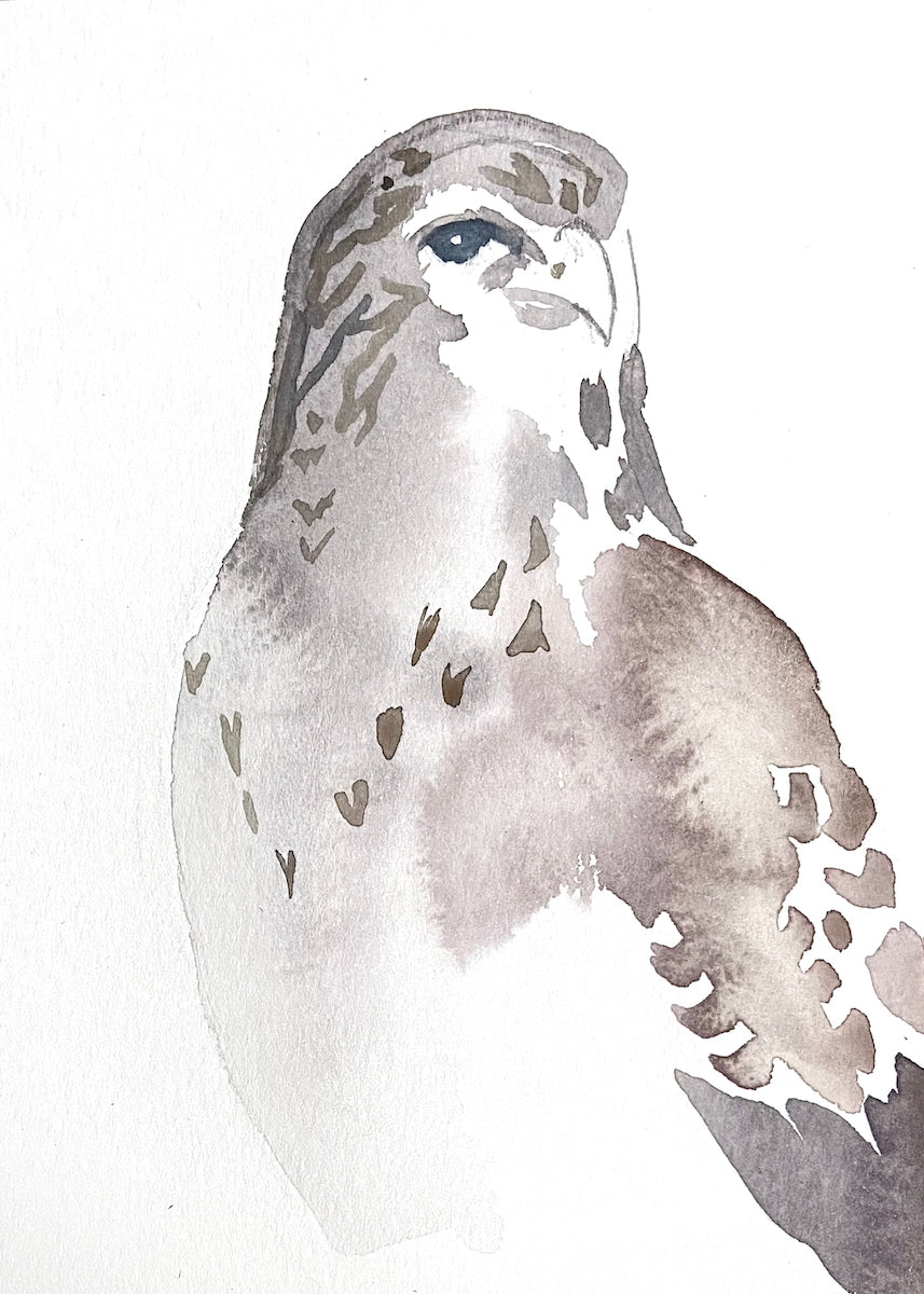 5” x 7” original watercolor wildlife nature gray hawk painting in an ethereal, expressive, impressionist, minimalist, modern style by contemporary fine artist Elizabeth Becker