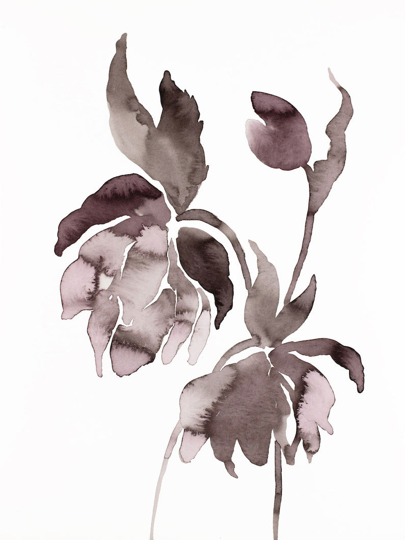 9” x 12” original watercolor ink botanical hellebore floral painting in an expressive, impressionist, minimalist, modern style by contemporary fine artist Elizabeth Becker. Deep moody monochromatic mauve purple, black and white colors.