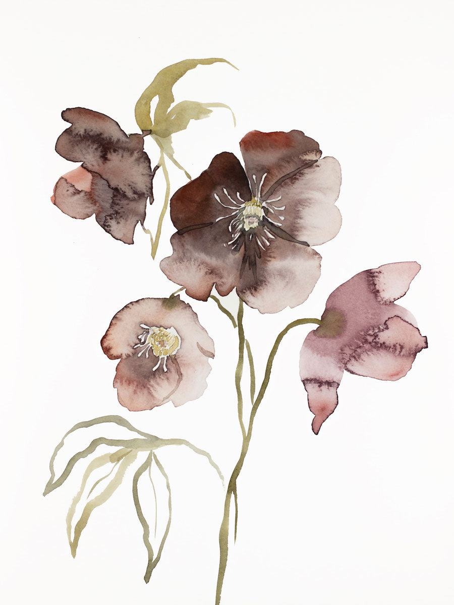 9” x 12” original watercolor botanical hellebore floral painting in an expressive, impressionist, minimalist, modern style by contemporary fine artist Elizabeth Becker. Soft mauve purple, red, olive green, gold and white colors.