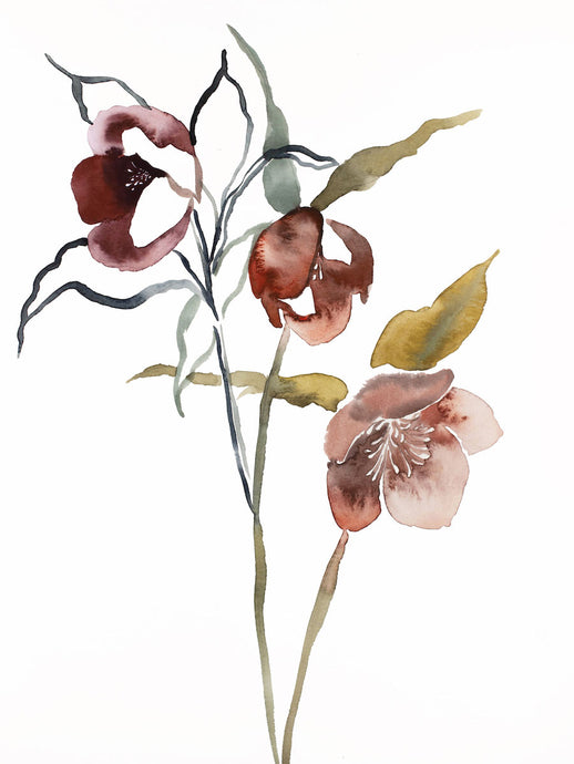 9” x 12” original watercolor botanical hellebore floral painting in an expressive, impressionist, minimalist, modern style by contemporary fine artist Elizabeth Becker. Soft mauve purple, red, peach, olive green, gold and white colors.