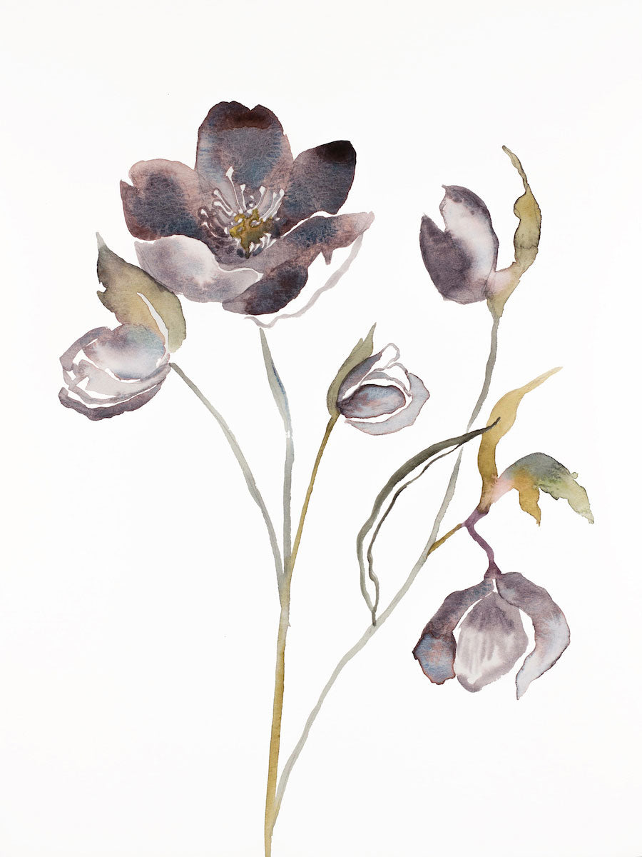 9” x 12” original watercolor botanical hellebore floral painting in an expressive, impressionist, minimalist, modern style by contemporary fine artist Elizabeth Becker. Soft violet purple, gray olive green, gold and white colors.