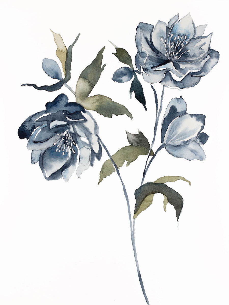9” x 12” original watercolor botanical hellebore floral painting in an expressive, impressionist, minimalist, modern style by contemporary fine artist Elizabeth Becker. Soft blue gray, olive green, gold and white colors.