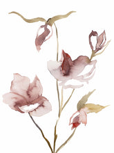Load image into Gallery viewer, 9” x 12” original watercolor botanical hellebore floral painting in an expressive, impressionist, minimalist, modern style by contemporary fine artist Elizabeth Becker. Soft red, mauve purple, pink, peach, olive green, gold and white colors.

