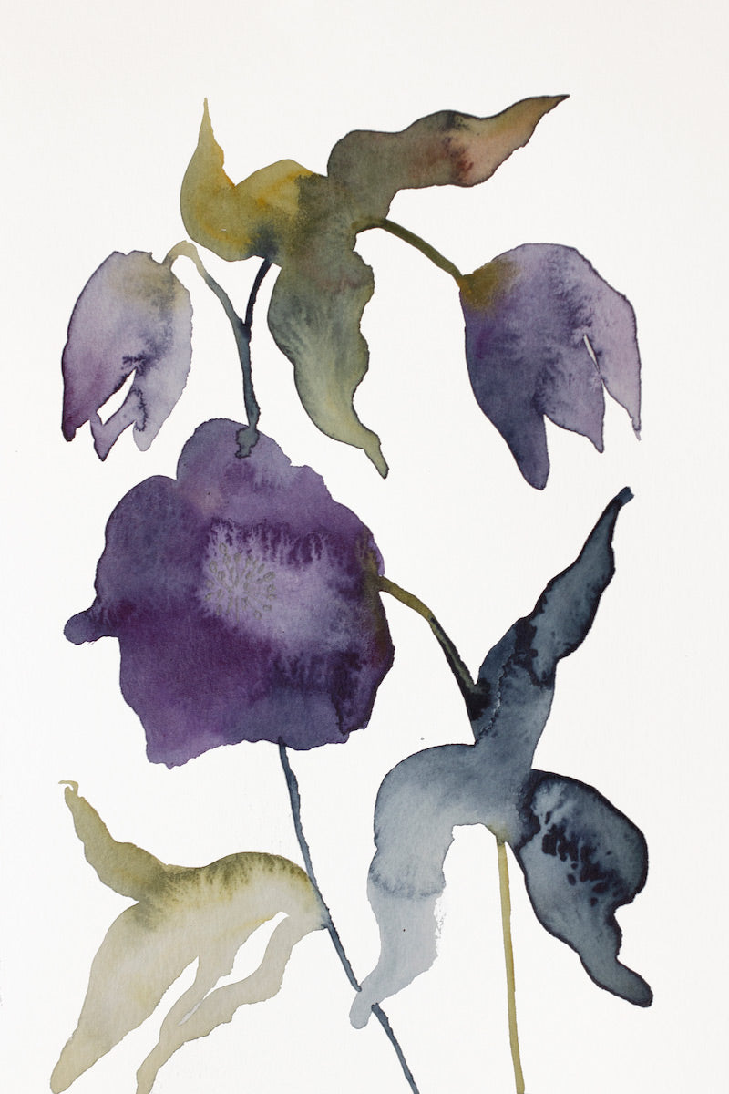 6” x 9” original watercolor botanical hellebore floral painting in an expressive, impressionist, minimalist, modern style by contemporary fine artist Elizabeth Becker. 