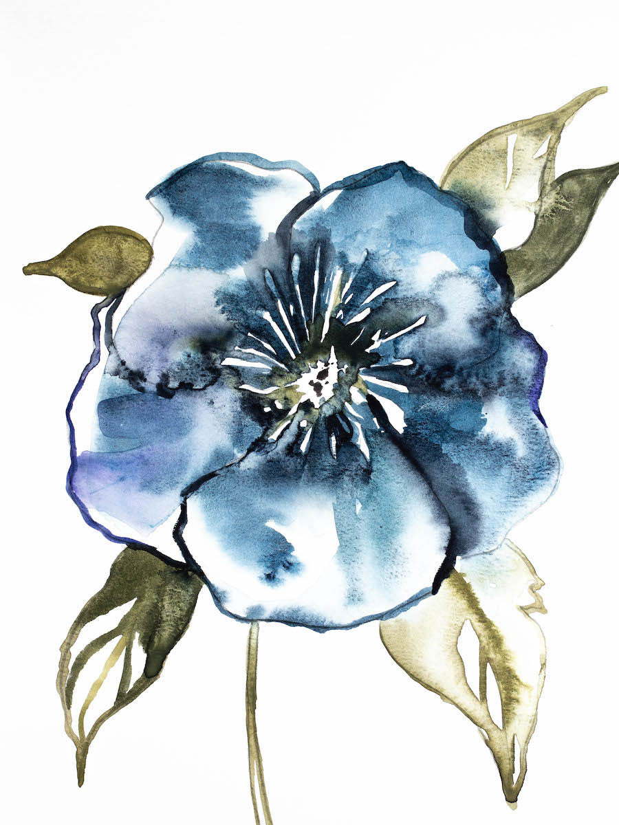 9” x 12” original watercolor botanical hellebore floral painting in an expressive, impressionist, minimalist, modern style by contemporary fine artist Elizabeth Becker. Soft deep moody monochromatic blue, green, gold and white colors.