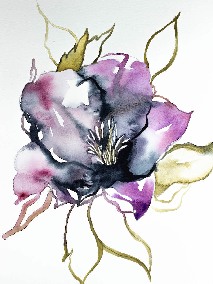 9” x 12” original watercolor botanical hellebore floral painting in an expressive, impressionist, minimalist, modern style by contemporary fine artist Elizabeth Becker. Soft purple, green gold, black and white colors.