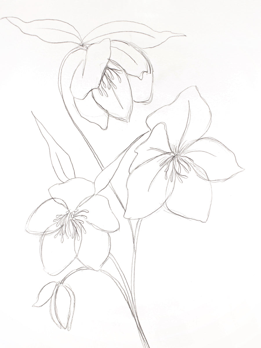 Free Easy Drawings Of Flowers, Download Free Easy Drawings Of Flowers png  images, Free ClipArts on Clipart Library