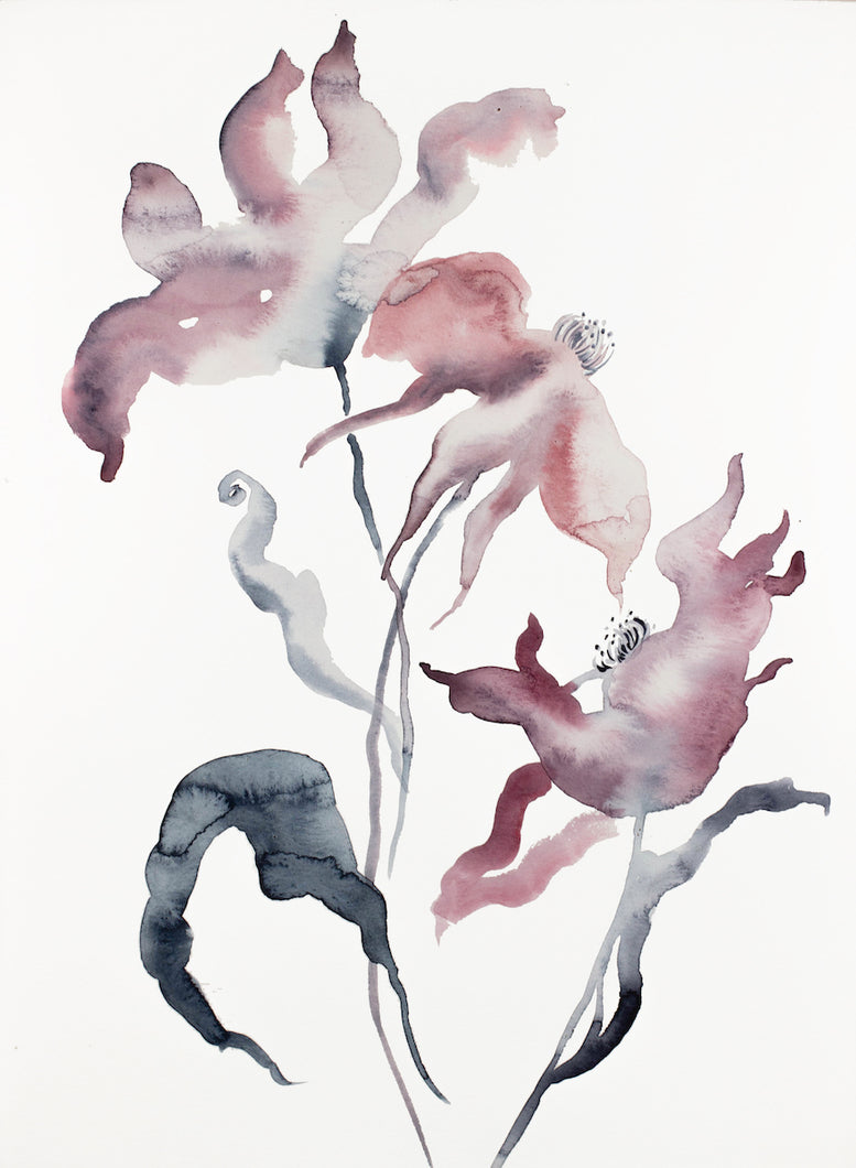 11” x 15” original watercolor botanical hellebore flowers painting in an expressive, impressionist, minimalist, modern style by contemporary fine artist Elizabeth Becker. 