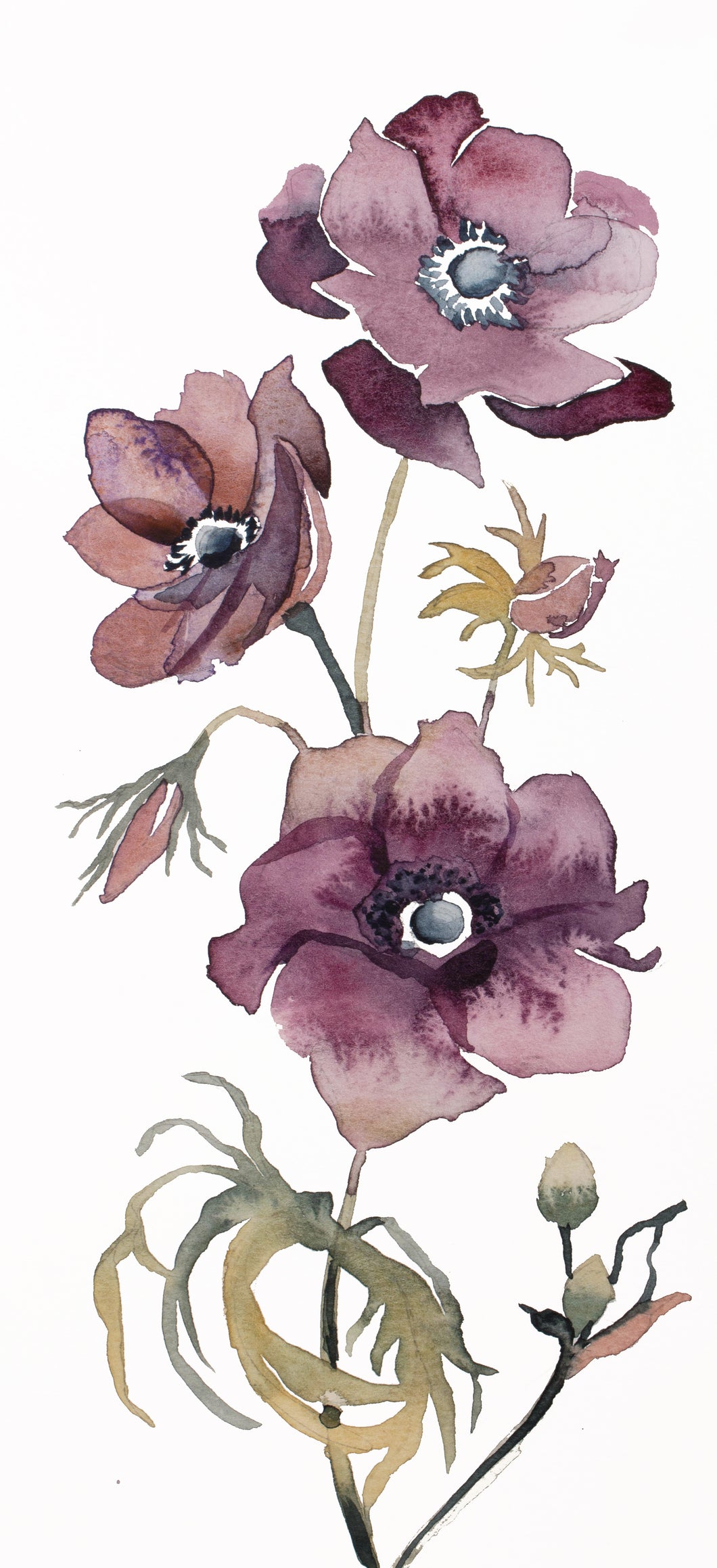 4.75” x 10.75” original watercolor botanical hellebores floral painting in an expressive, impressionist, minimalist, modern style by contemporary fine artist Elizabeth Becker. 