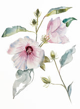 Load image into Gallery viewer, 18” x 24” original watercolor botanical hibiscus floral painting in an expressive, impressionist, minimalist, modern style by contemporary fine artist Elizabeth Becker. Soft pastel pink, olive green and white colors.
