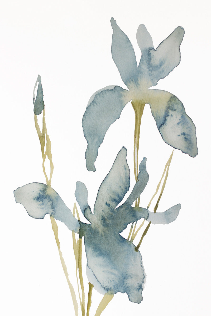 6” x 9” original watercolor botanical iris floral painting in an expressive, impressionist, minimalist, modern style by contemporary fine artist Elizabeth Becker 