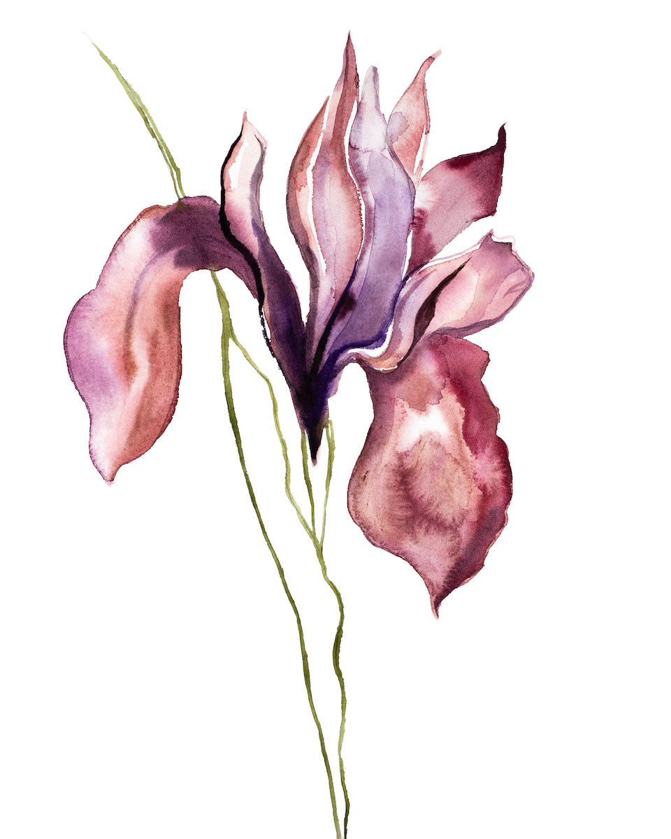 draw like an artist 100 flowers and plants Iris No. 100