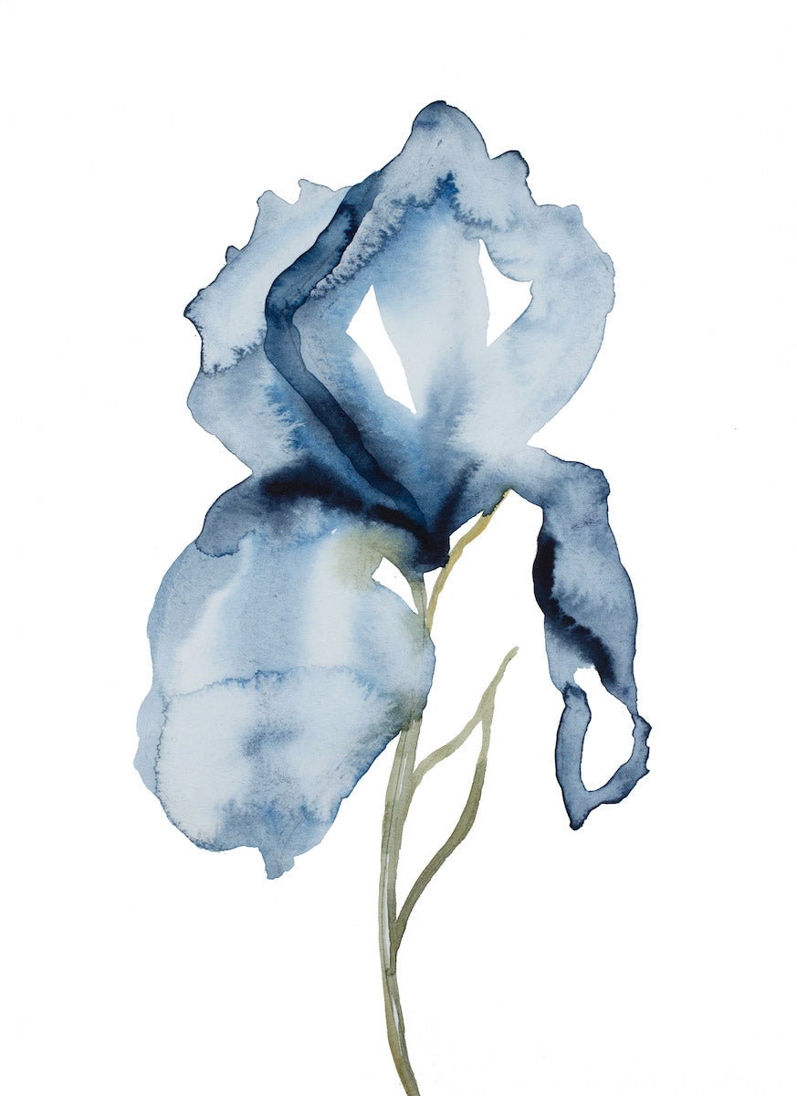 Iris No. 131 - Original Watercolor Floral Painting – Elizabeth Becker Art