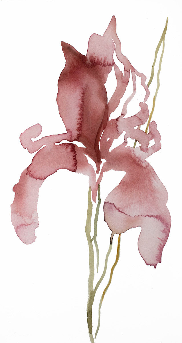 8.5” x 16” original watercolor botanical iris flower painting in an expressive, impressionist, minimalist, modern style by contemporary fine artist Elizabeth Becker. 