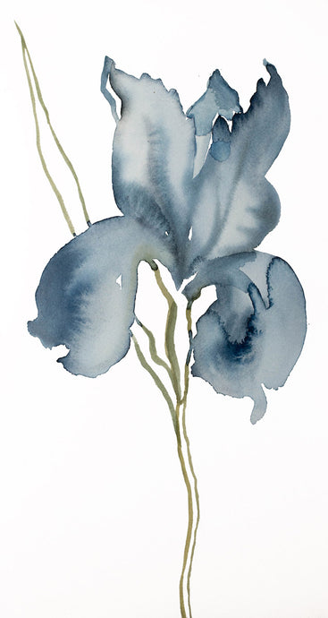 8.5” x 16” original watercolor botanical iris flower painting in an expressive, impressionist, minimalist, modern style by contemporary fine artist Elizabeth Becker. 