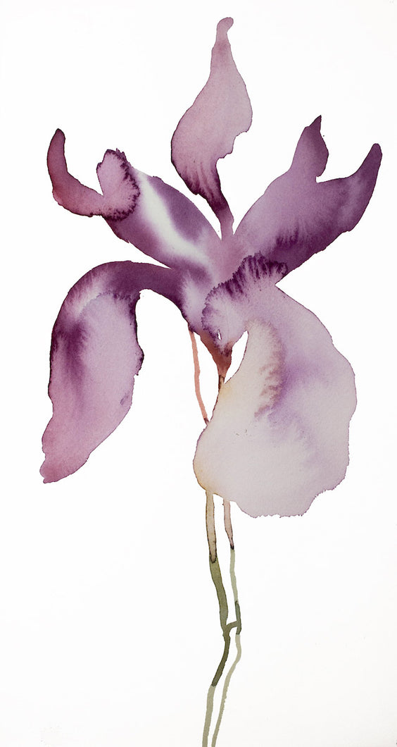 8.5” x 16” original watercolor botanical iris flower painting in an expressive, impressionist, minimalist, modern style by contemporary fine artist Elizabeth Becker. 