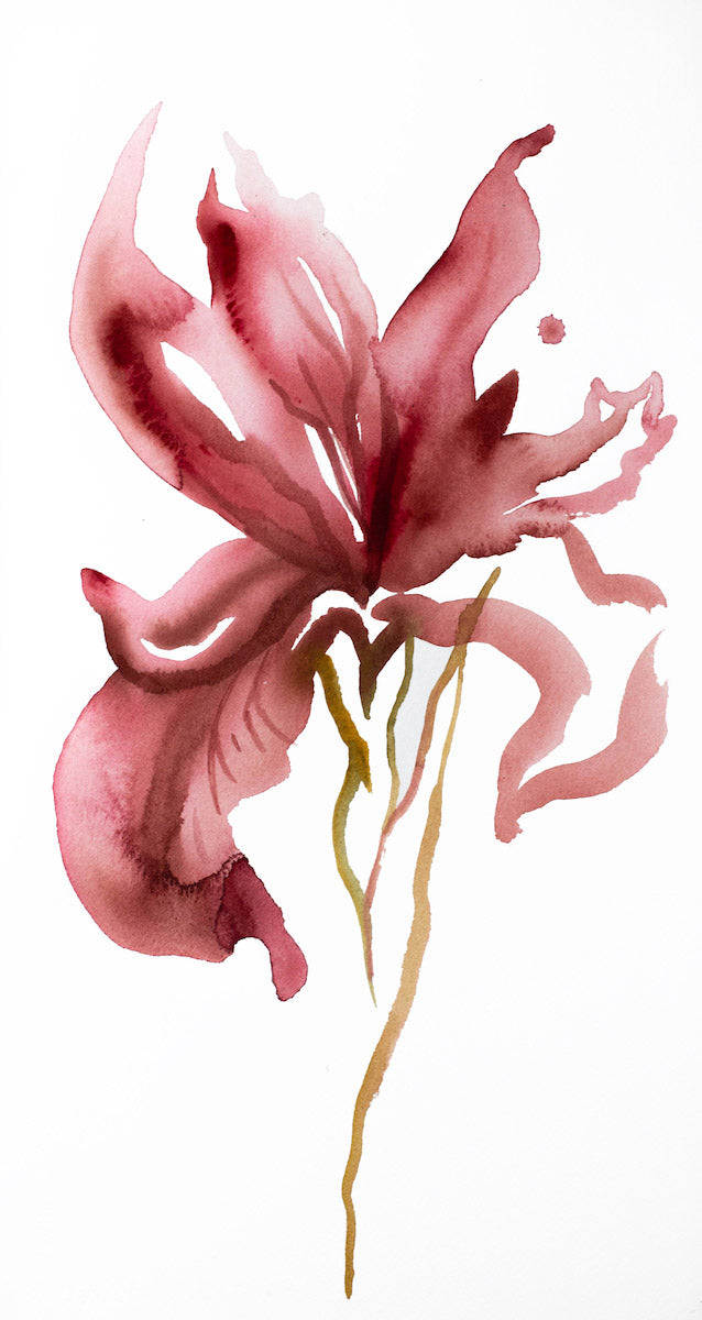 8.5” x 16” original watercolor botanical iris flower painting in an expressive, impressionist, minimalist, modern style by contemporary fine artist Elizabeth Becker. 
