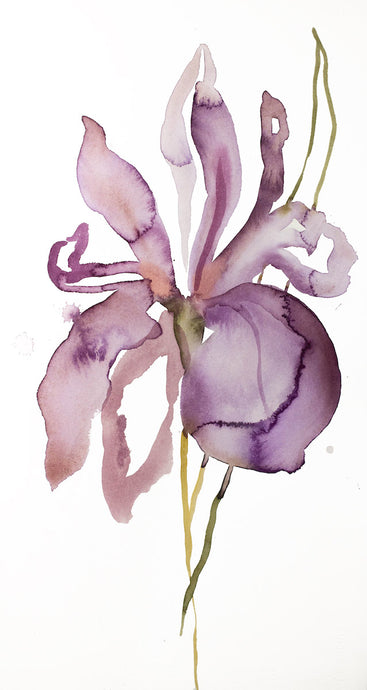 8.5” x 16” original watercolor botanical iris flower painting in an expressive, impressionist, minimalist, modern style by contemporary fine artist Elizabeth Becker. 