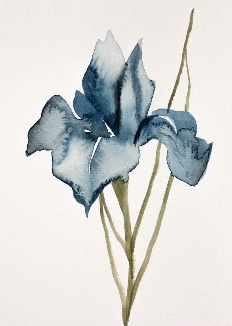 5” x 7” original watercolor botanical floral iris painting in an expressive, impressionist, minimalist, modern style by contemporary fine artist Elizabeth Becker