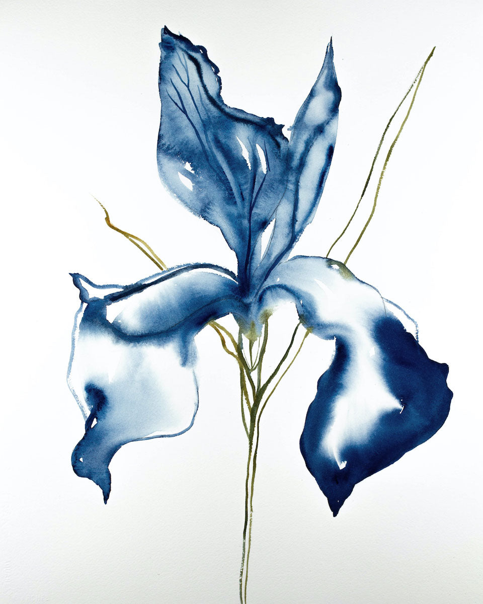 Iris No. 94 - Original Watercolor Floral Painting – Elizabeth Becker Art