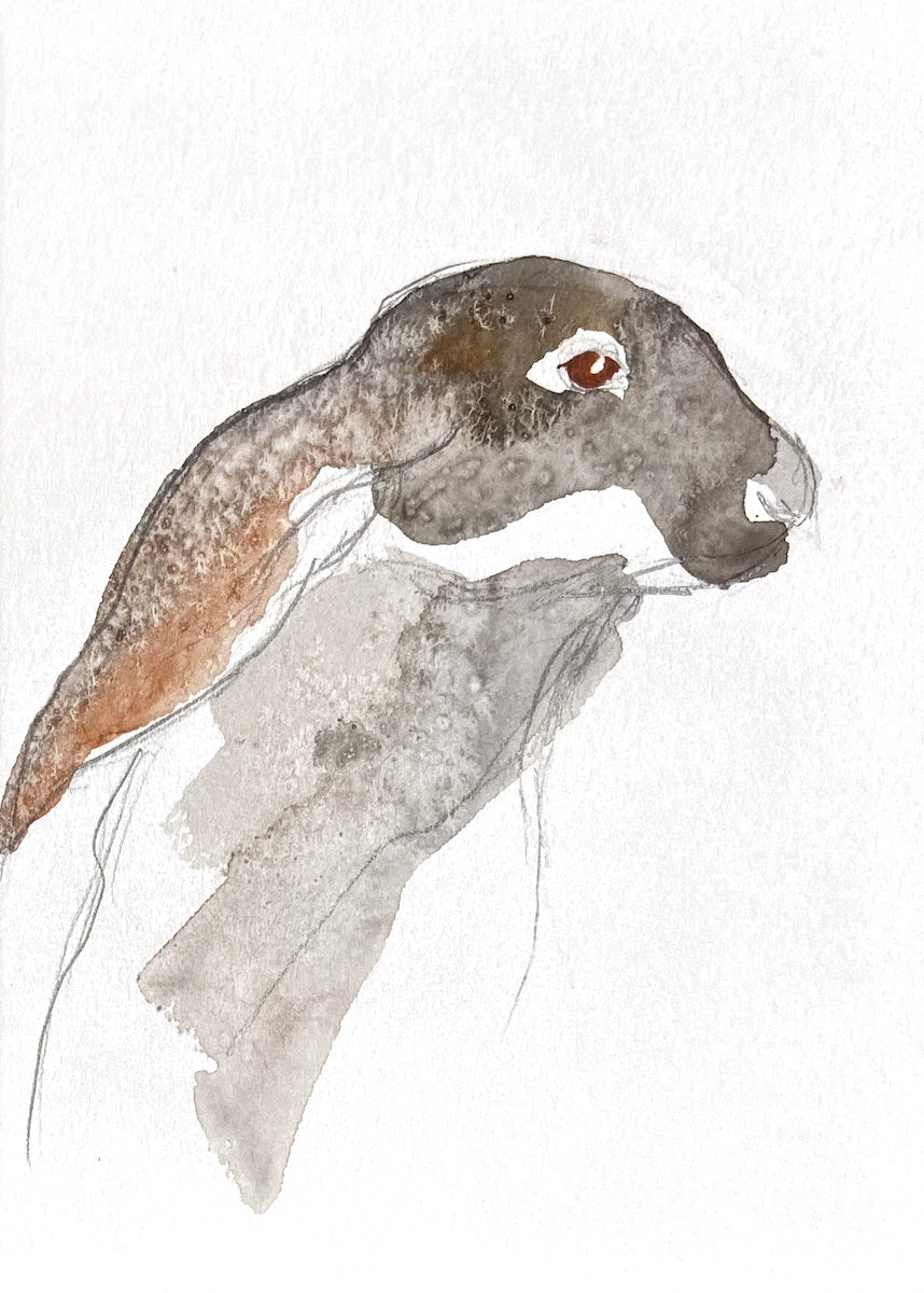 5” x 7” original watercolor jackrabbit painting in an ethereal, expressive, impressionist, minimalist, modern style by contemporary fine artist Elizabeth Becker