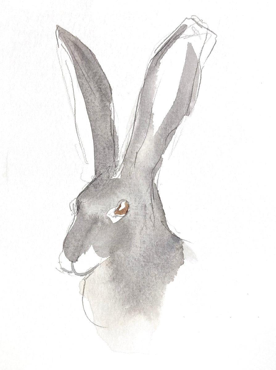 5” x 7” original watercolor jackrabbit painting in an ethereal, expressive, impressionist, minimalist, modern style by contemporary fine artist Elizabeth Becker