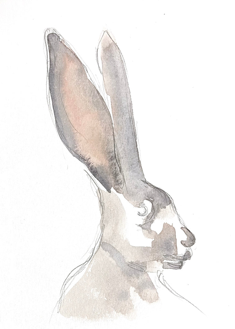 5” x 7” original watercolor jackrabbit painting in an ethereal, expressive, impressionist, minimalist, modern style by contemporary fine artist Elizabeth Becker