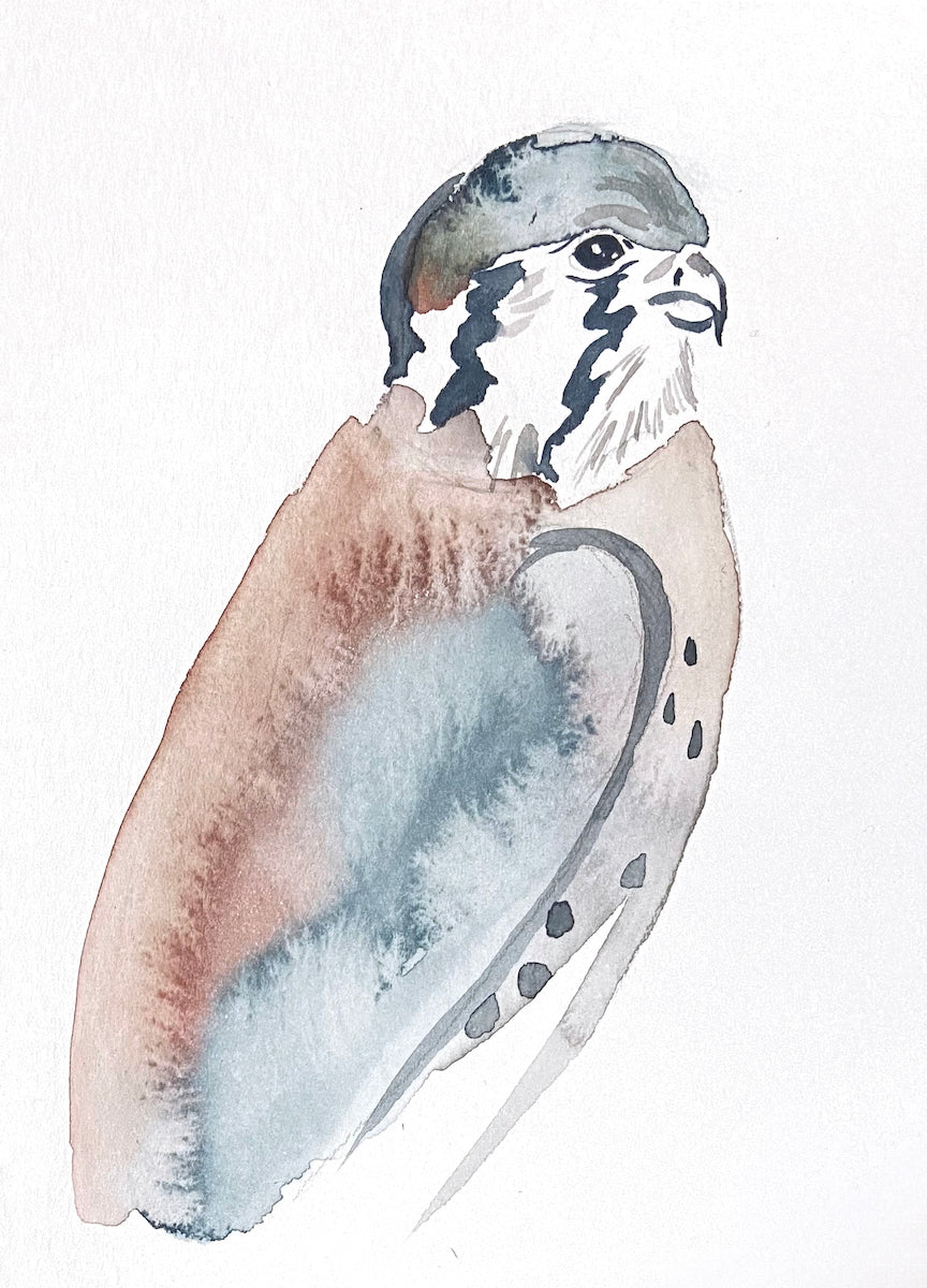 5” x 7” original watercolor wildlife nature kestrel falcon painting in an ethereal, expressive, impressionist, minimalist, modern style by contemporary fine artist Elizabeth Becker
