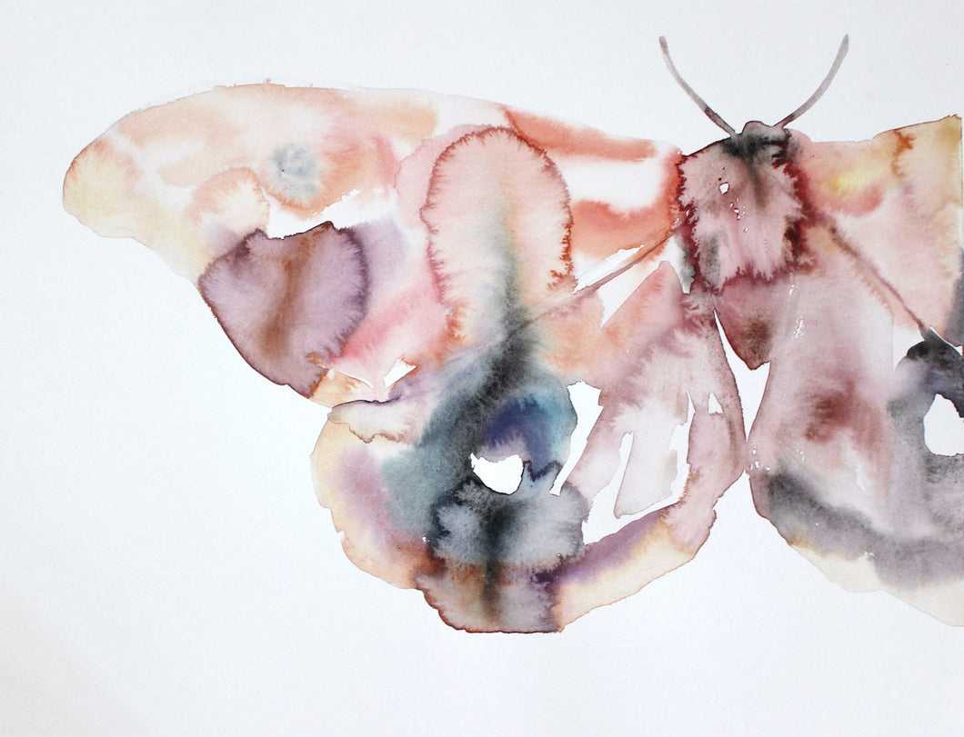 18” x 24” original watercolor moth or butterfly painting in an expressive, impressionist, minimalist, modern style by contemporary fine artist Elizabeth Becker. Soft peach, pink, red, mauve purple, blue gray and white colors.