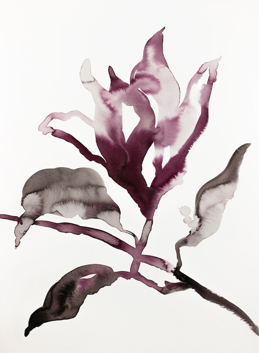 11” x 15” original watercolor ink botanical hellebore floral painting in an expressive, impressionist, minimalist, modern style by contemporary fine artist Elizabeth Becker. Deep moody monochromatic mauve purple, black and white colors.