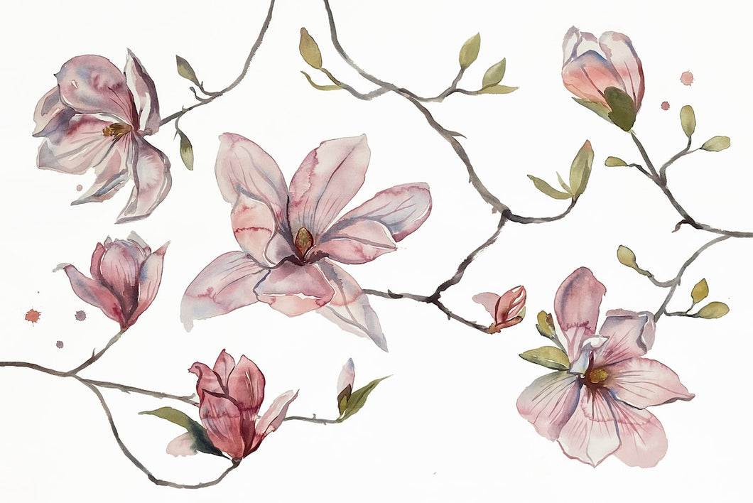 26” x 36” original watercolor botanical pink magnolia floral painting in an expressive, impressionist, minimalist, modern style by contemporary fine artist Elizabeth Becker. Giclée prints available.