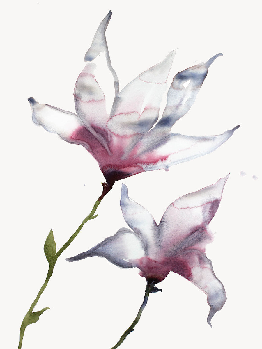 18” x 24” original watercolor botanical magnolia floral painting in an expressive, impressionist, minimalist, modern style by contemporary fine artist Elizabeth Becker 