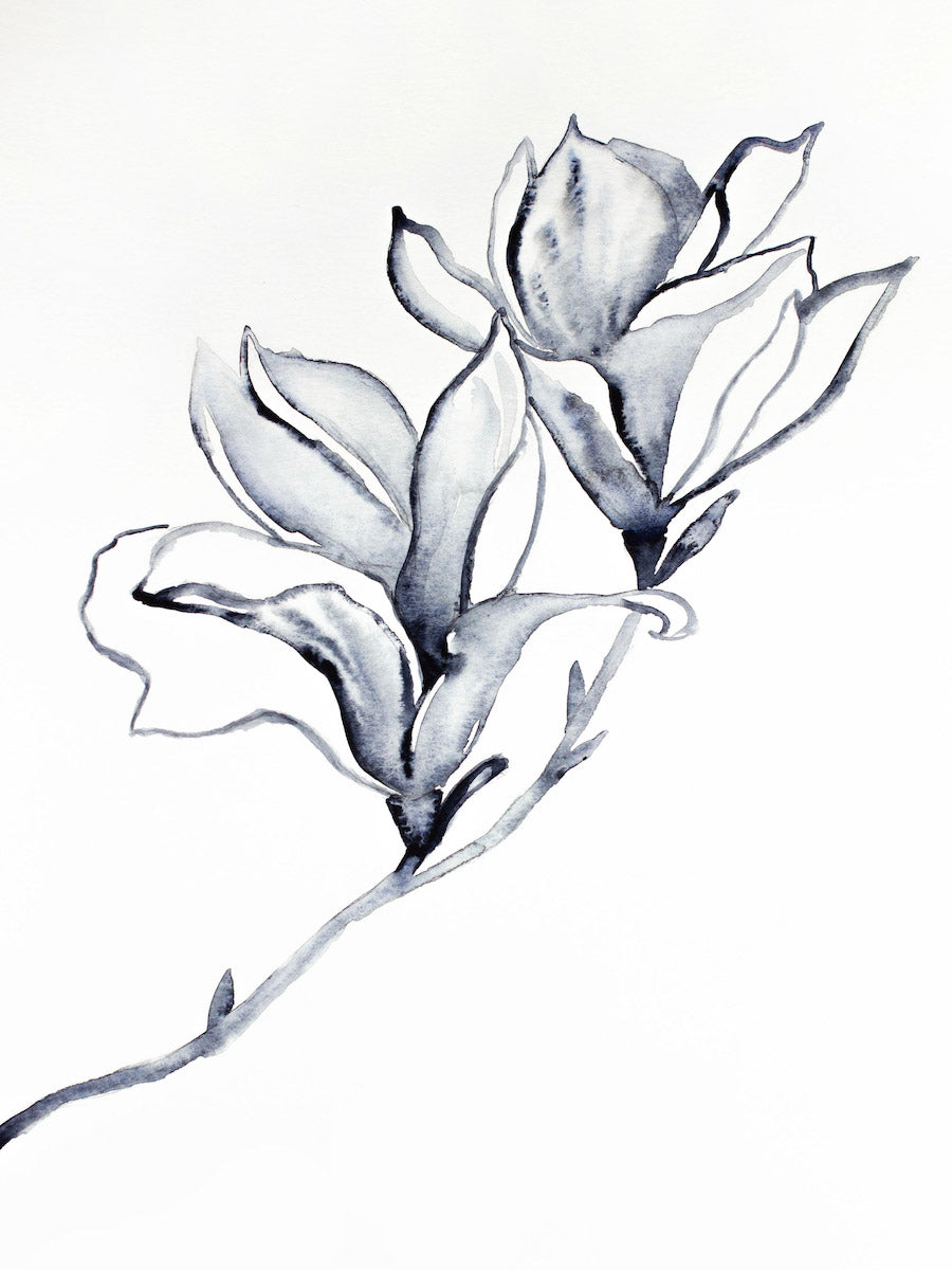 9” x 12” original watercolor botanical magnolia floral painting with black, white and gray soft colors in an expressive, impressionist, minimalist, modern style by contemporary fine artist Elizabeth Becker 