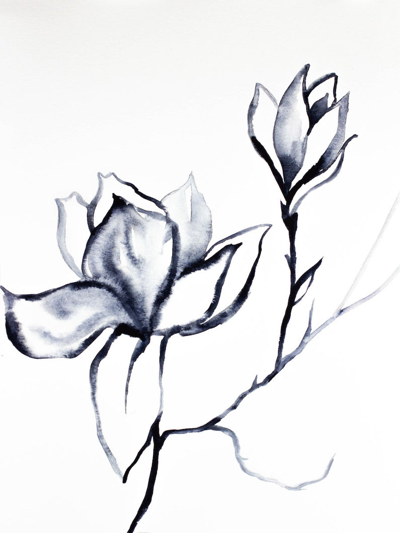 9” x 12” original watercolor botanical magnolia floral painting with black, white and gray soft colors in an expressive, impressionist, minimalist, modern style by contemporary fine artist Elizabeth Becker 