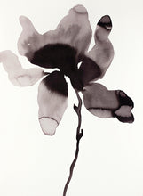 Load image into Gallery viewer, 11&quot; x 15&quot; original ink black and white magnolia botanical flower painting in an expressive, impressionist, minimalist, modern style by contemporary fine artist Elizabeth Becker. Watery monochromatic black and white colors.
