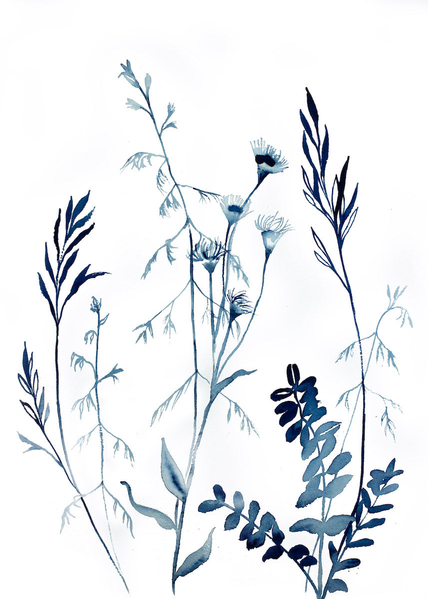 10” x 14” original watercolor botanical wildflower painting with monochromatic blue and white colors in an expressive, impressionist, minimalist, modern style by contemporary fine artist Elizabeth Becker
