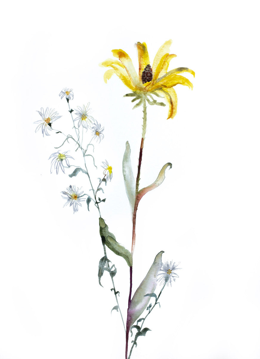 11” x 15” original watercolor botanical daisy wildflower painting with soft yellow, green and white colors in an expressive, impressionist, minimalist, modern style by contemporary fine artist Elizabeth Becker
