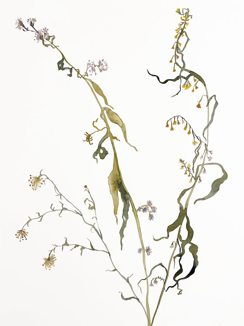18” x 24” original watercolor botanical floral painting in an expressive, impressionist, minimalist, modern style by contemporary fine artist Elizabeth Becker 