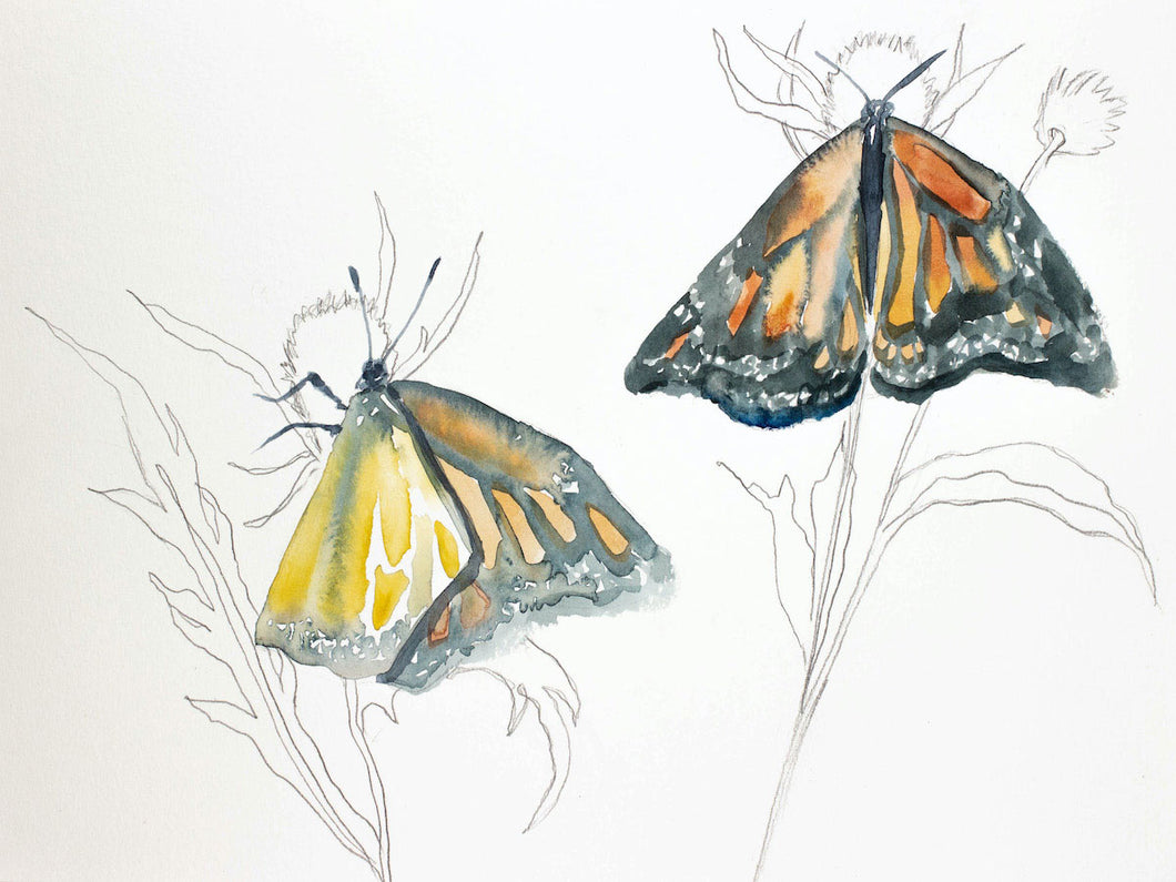 9” x 12” original watercolor butterfly painting in an expressive, impressionist, minimalist, modern style by contemporary fine artist Elizabeth Becker. 