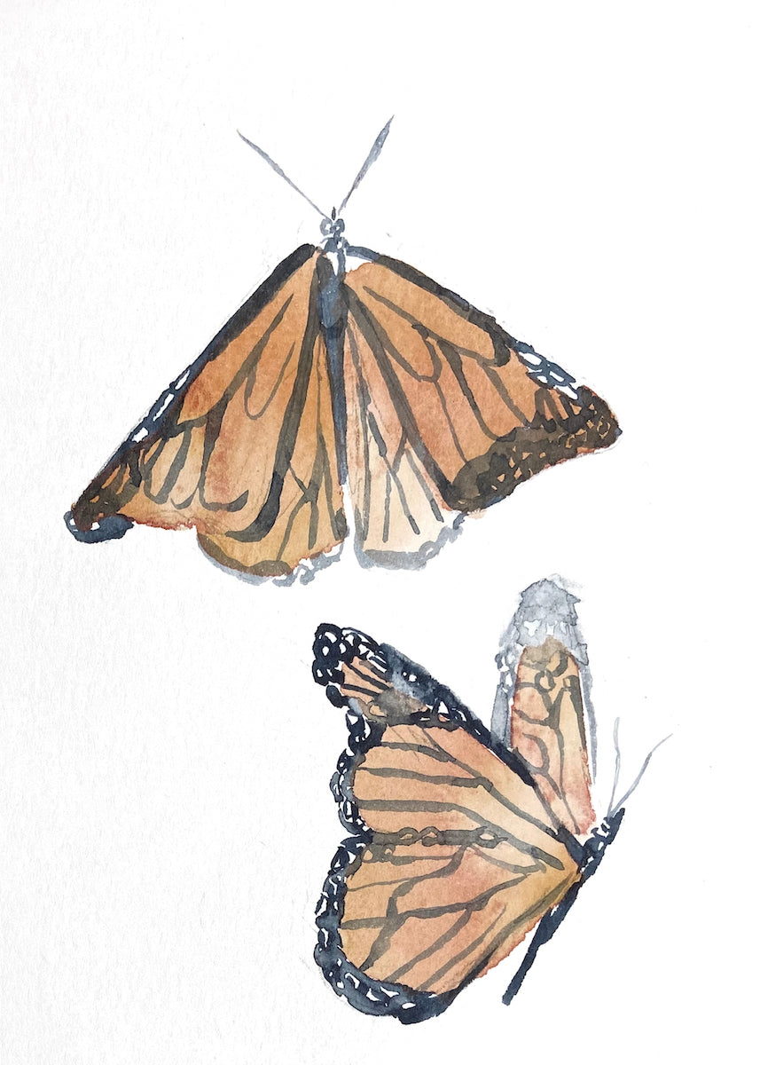 5” x 7” original watercolor monarch butterfly painting in an ethereal, expressive, impressionist, minimalist, modern style by contemporary fine artist Elizabeth Becker